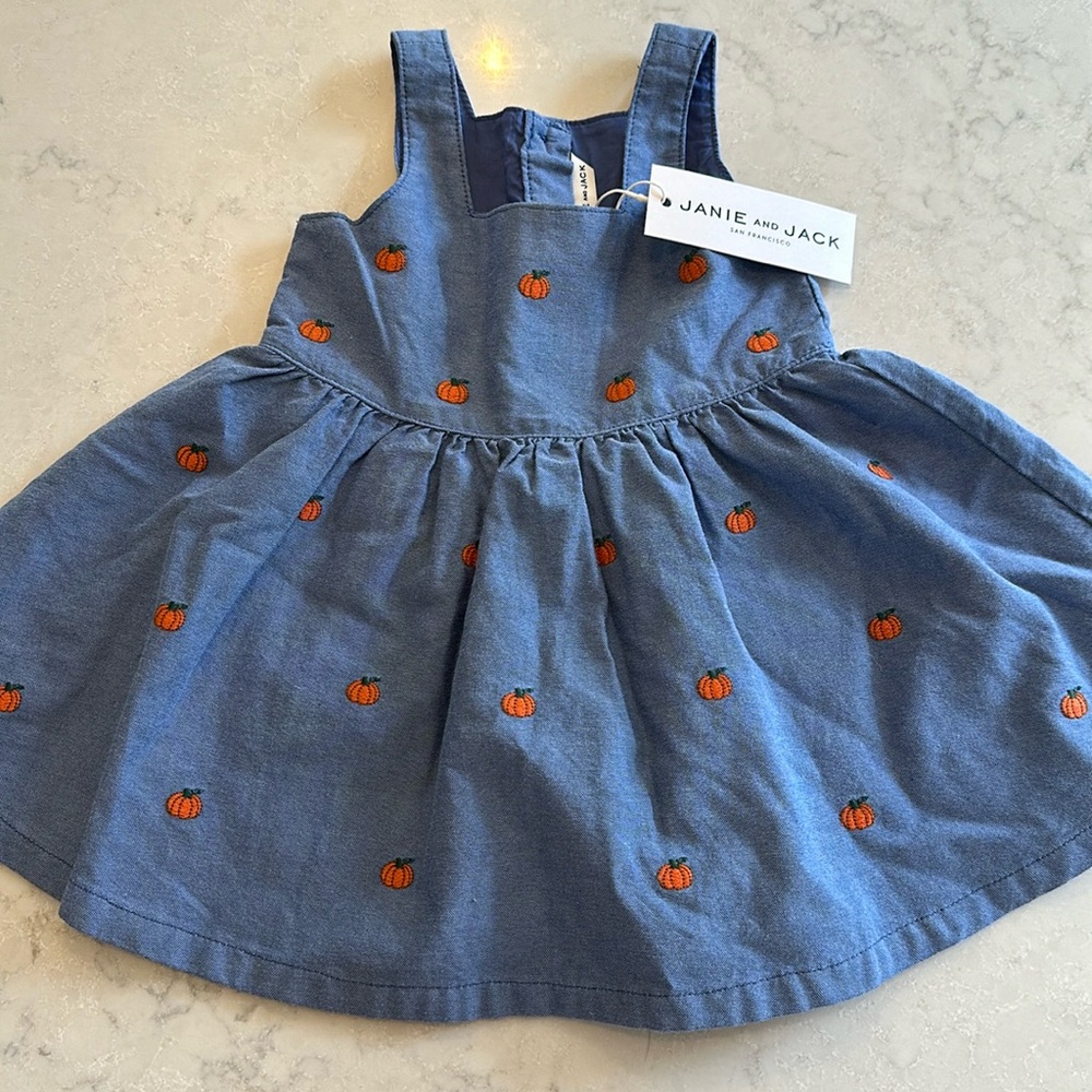Adorable Janie and Jack fall harvest dress